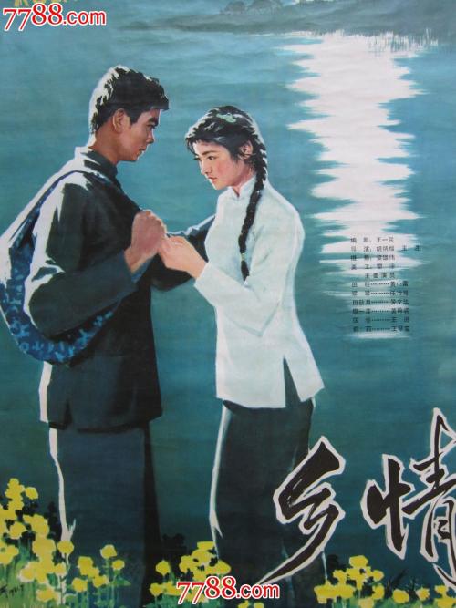 做假爱尔兰居留证